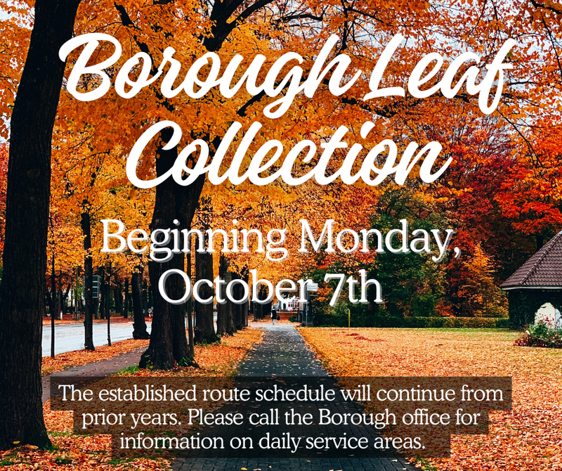 2024 Leaf Collection Begins