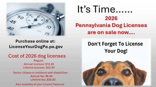 March 2026 Dog License