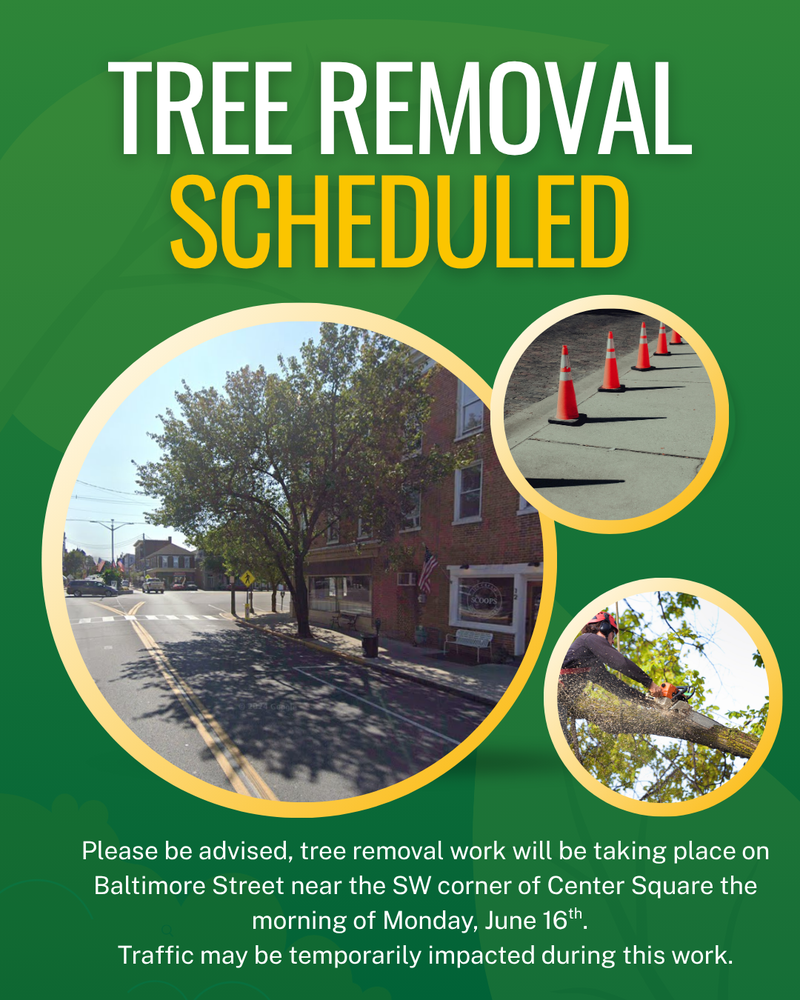 Tree Removal Post