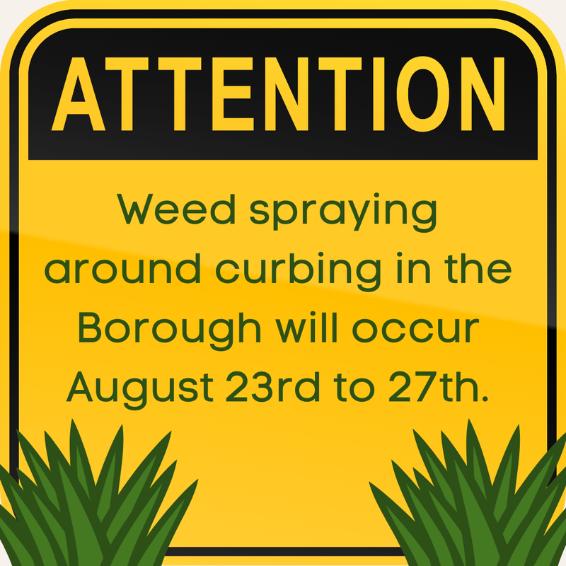 Weed spraying 2024 (1)