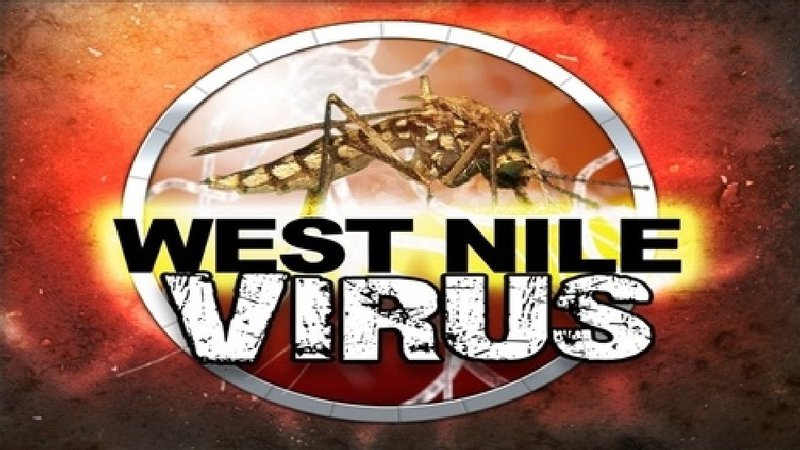 West Nile Virus